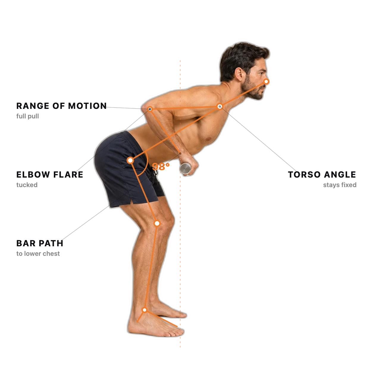 Barbell Row form check: the joints and checkpoints the AI tracks