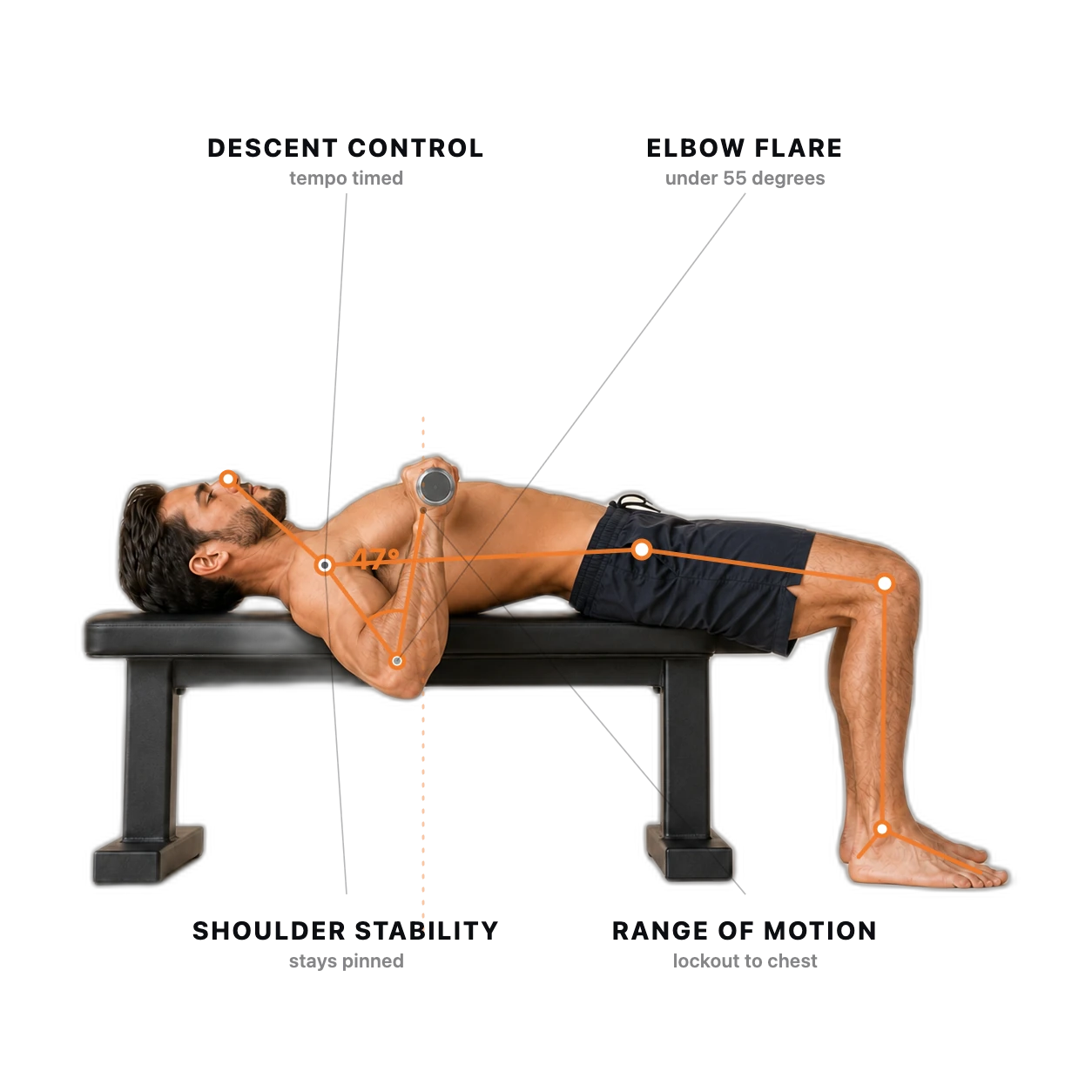 Bench Press form check: the joints and checkpoints the AI tracks