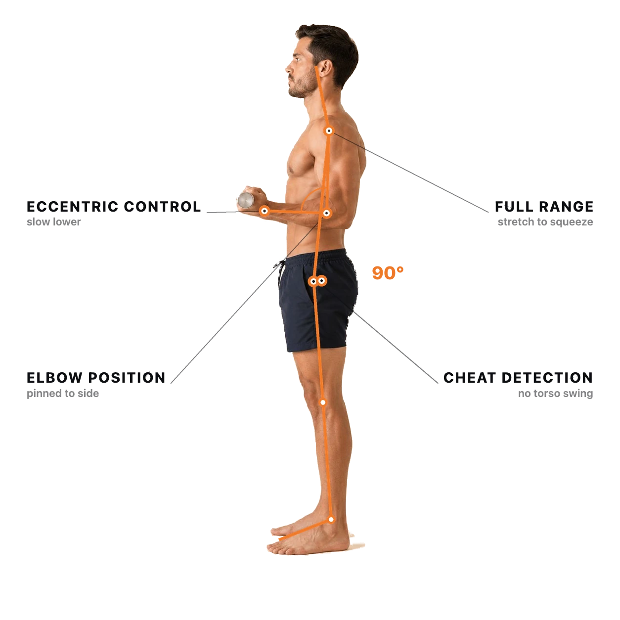 Bicep Curl form check: the joints and checkpoints the AI tracks