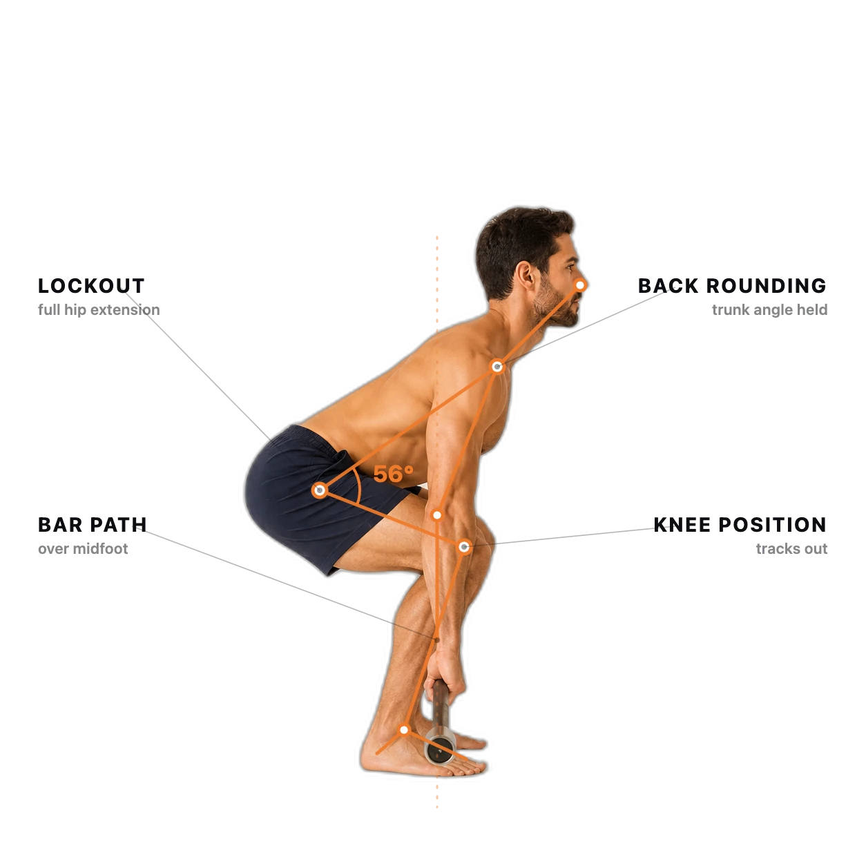 Deadlift form check: the joints and checkpoints the AI tracks