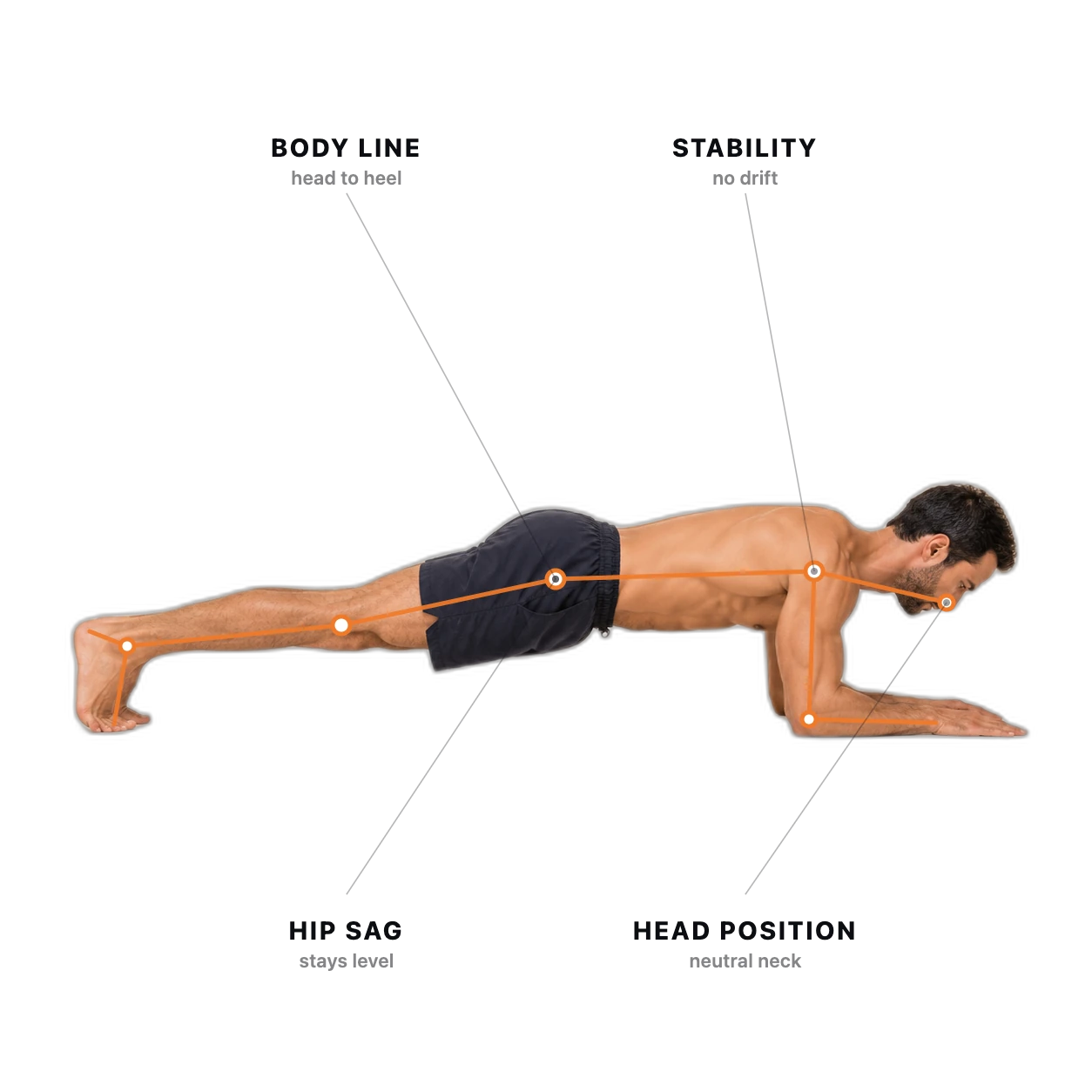 Plank form check: the joints and checkpoints the AI tracks