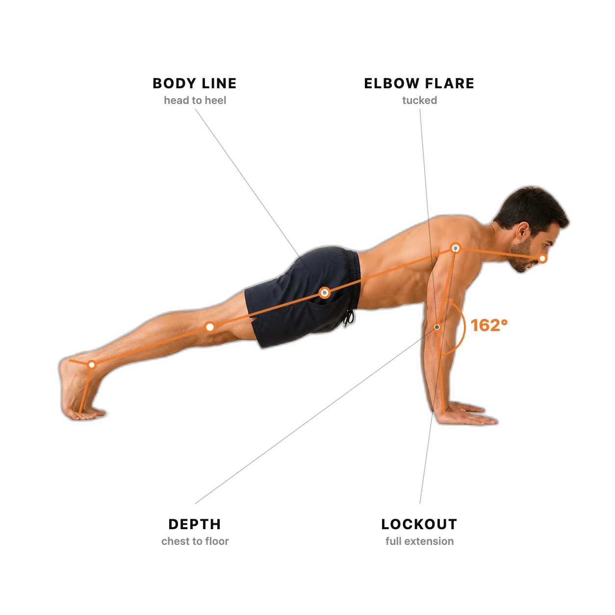 Push-Up form check: the joints and checkpoints the AI tracks