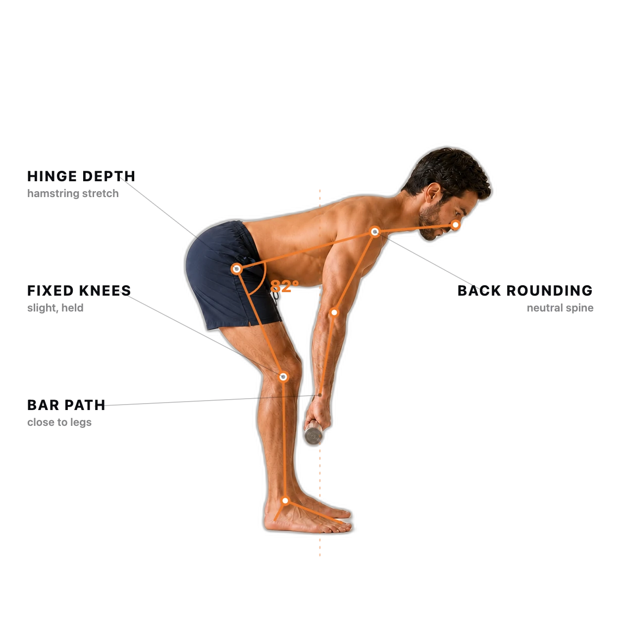 Romanian Deadlift form check: the joints and checkpoints the AI tracks