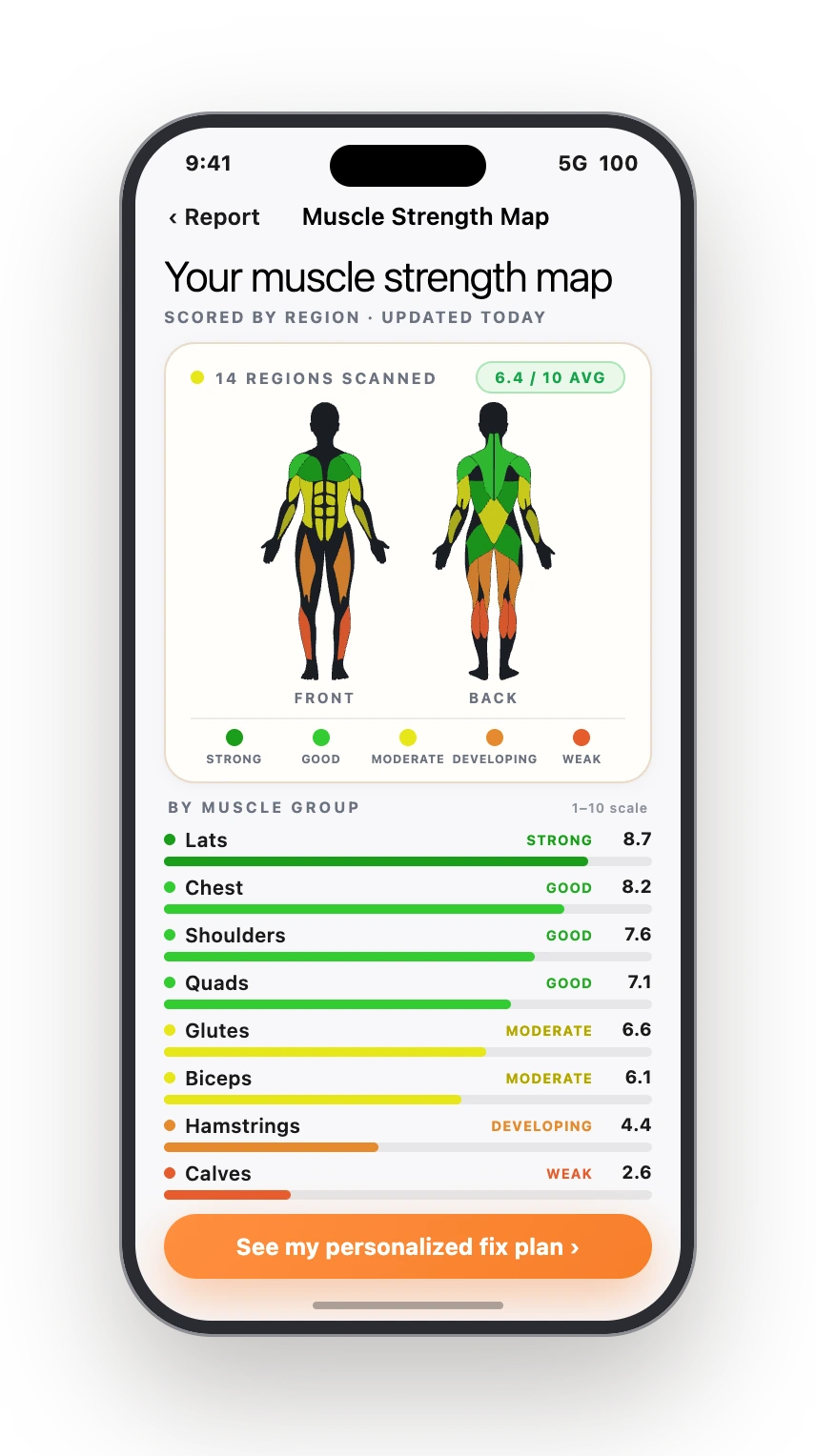 Muscle map view